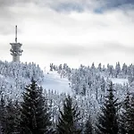 Klinovec Lejlighed