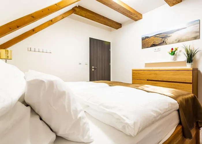 Apartmán Klínovec *